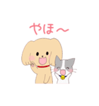 いぬねこ日常スタンプ（個別スタンプ：1）
