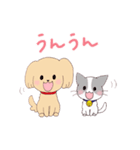 いぬねこ日常スタンプ（個別スタンプ：7）