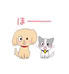 いぬねこ日常スタンプ（個別スタンプ：8）