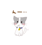 いぬねこ日常スタンプ（個別スタンプ：10）