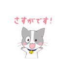 いぬねこ日常スタンプ（個別スタンプ：11）