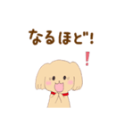 いぬねこ日常スタンプ（個別スタンプ：12）