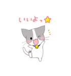 いぬねこ日常スタンプ（個別スタンプ：13）