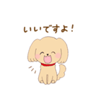 いぬねこ日常スタンプ（個別スタンプ：14）