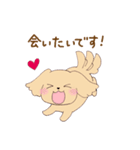 いぬねこ日常スタンプ（個別スタンプ：16）