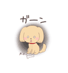 いぬねこ日常スタンプ（個別スタンプ：19）