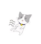いぬねこ日常スタンプ（個別スタンプ：20）