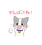 いぬねこ日常スタンプ（個別スタンプ：21）