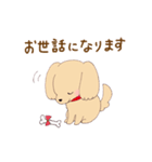 いぬねこ日常スタンプ（個別スタンプ：25）