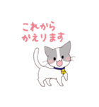 いぬねこ日常スタンプ（個別スタンプ：30）