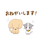 いぬねこ日常スタンプ（個別スタンプ：31）
