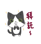 Purring cat daily（個別スタンプ：3）