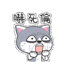 cool cats talking（個別スタンプ：37）