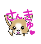 チワワ 犬スタンプ4（個別スタンプ：1）