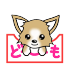 チワワ 犬スタンプ4（個別スタンプ：2）