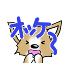 チワワ 犬スタンプ4（個別スタンプ：4）