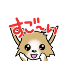 チワワ 犬スタンプ4（個別スタンプ：7）