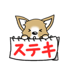 チワワ 犬スタンプ4（個別スタンプ：20）