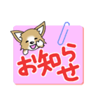 チワワ 犬スタンプ4（個別スタンプ：38）