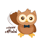 Happy Owl Family 2（個別スタンプ：9）