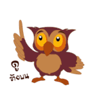 Happy Owl Family 2（個別スタンプ：24）