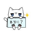 不機嫌猫のわりとよく使う言葉（個別スタンプ：17）