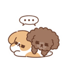 Lovely Beagle＆poodle（個別スタンプ：21）