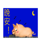 Pig Lite gas（個別スタンプ：4）