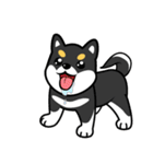 I Love Black Shiba（個別スタンプ：25）