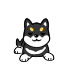 I Love Black Shiba（個別スタンプ：28）