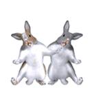 ふわふわウサギのスタンプ2（個別スタンプ：8）