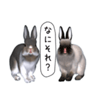 ふわふわウサギのスタンプ2（個別スタンプ：20）
