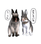 ふわふわウサギのスタンプ2（個別スタンプ：35）