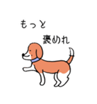 ビーグル犬タローその2（個別スタンプ：1）