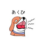 ビーグル犬タローその2（個別スタンプ：2）