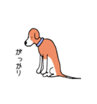 ビーグル犬タローその2（個別スタンプ：4）
