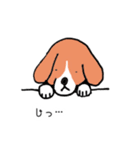 ビーグル犬タローその2（個別スタンプ：7）