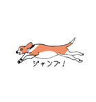 ビーグル犬タローその2（個別スタンプ：8）