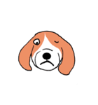 ビーグル犬タローその2（個別スタンプ：10）