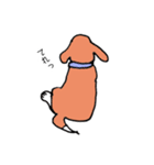 ビーグル犬タローその2（個別スタンプ：11）