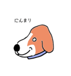 ビーグル犬タローその2（個別スタンプ：15）