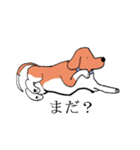 ビーグル犬タローその2（個別スタンプ：22）