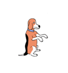 ビーグル犬タローその2（個別スタンプ：24）