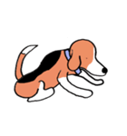 ビーグル犬タローその2（個別スタンプ：29）