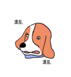 ビーグル犬タローその2（個別スタンプ：31）