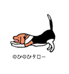 ビーグル犬タローその2（個別スタンプ：33）
