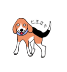 ビーグル犬タローその2（個別スタンプ：34）