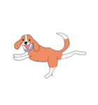 ビーグル犬タローその2（個別スタンプ：37）