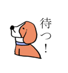 ビーグル犬タローその2（個別スタンプ：39）