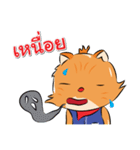 Welovecats（個別スタンプ：22）
